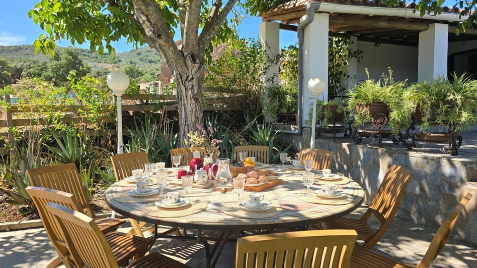 Spring, Garden, Garden view