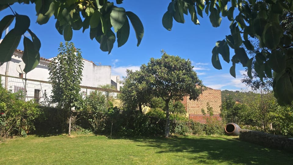 Natural landscape, Garden, Garden view