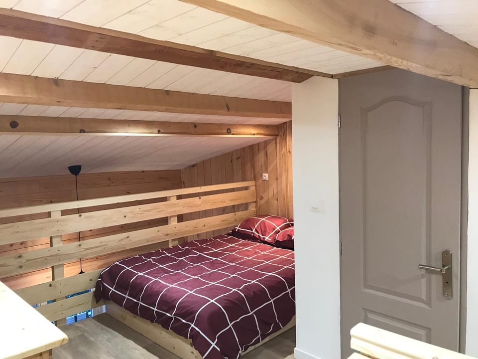 appartement ski au pied Apartment in Les Deux Alpes