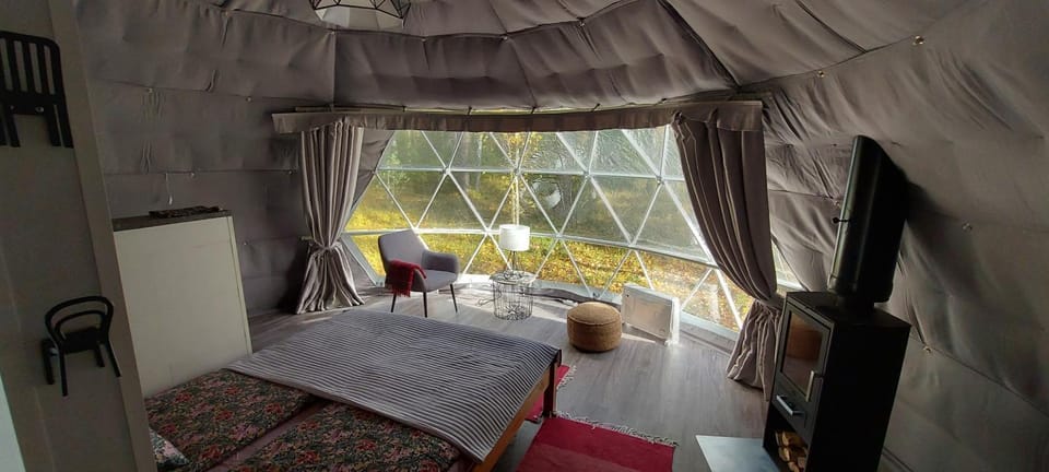 Bed, Living room, Photo of the whole room, Seating area, Garden view, flat iron