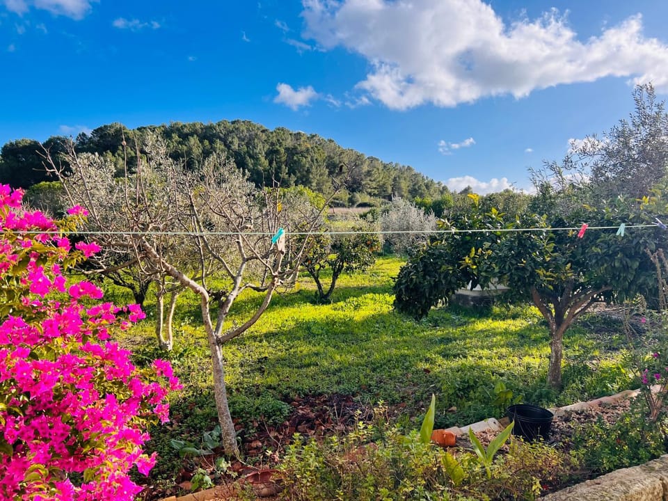Spring, Garden, Garden view, Mountain view
