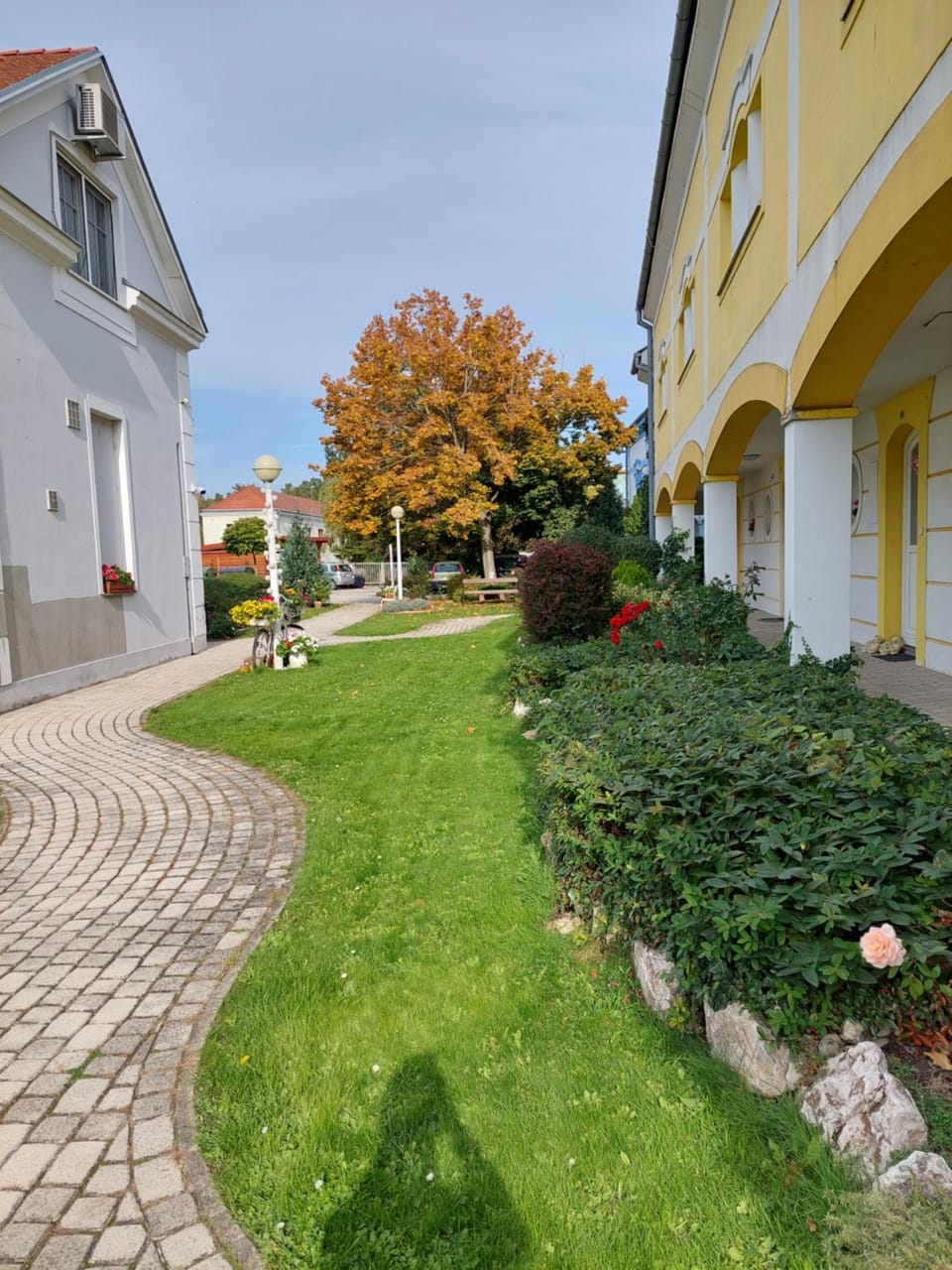 Property building, Neighbourhood, Garden, Garden, Garden view