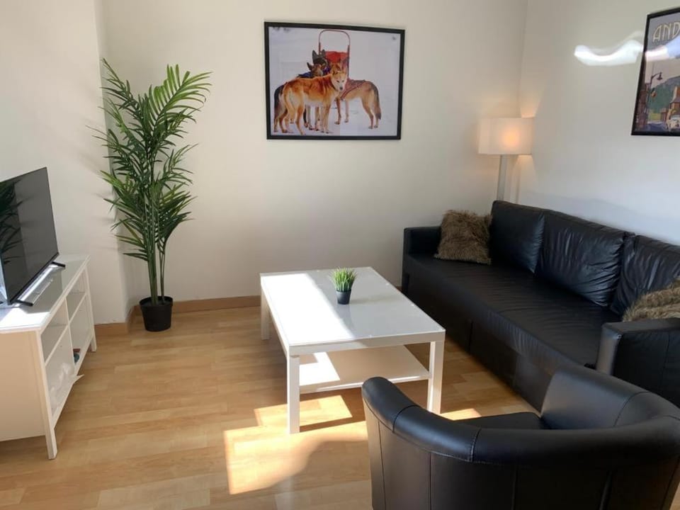 Fontargent -2C Soldeu Apartment in Soldeu