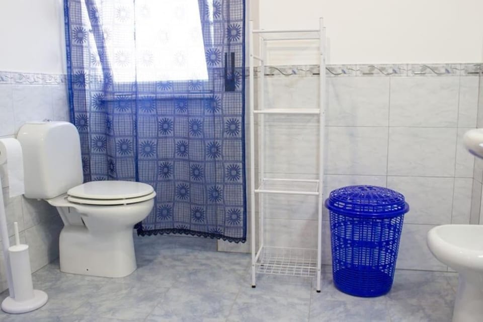 Shower, Toilet, Bathroom, bidet