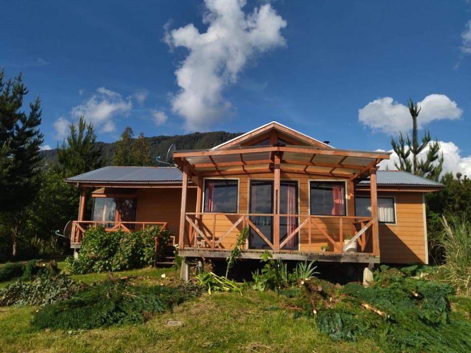 Property building, Day, Garden