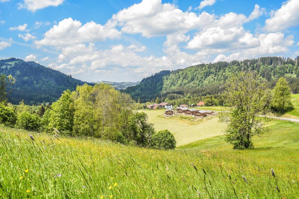 Spring, Day, Natural landscape, View (from property/room)