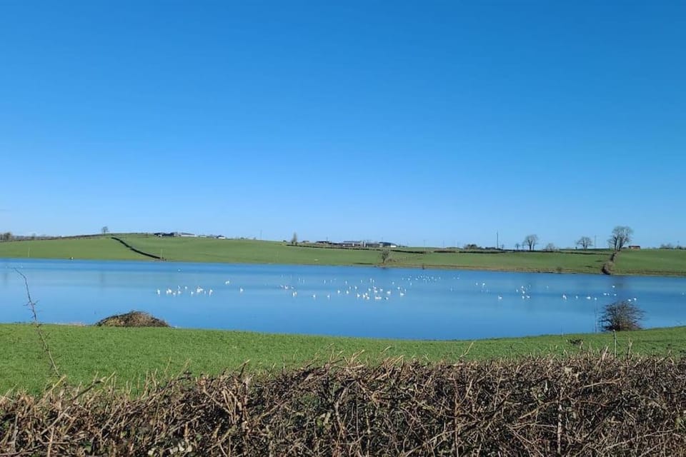Natural landscape