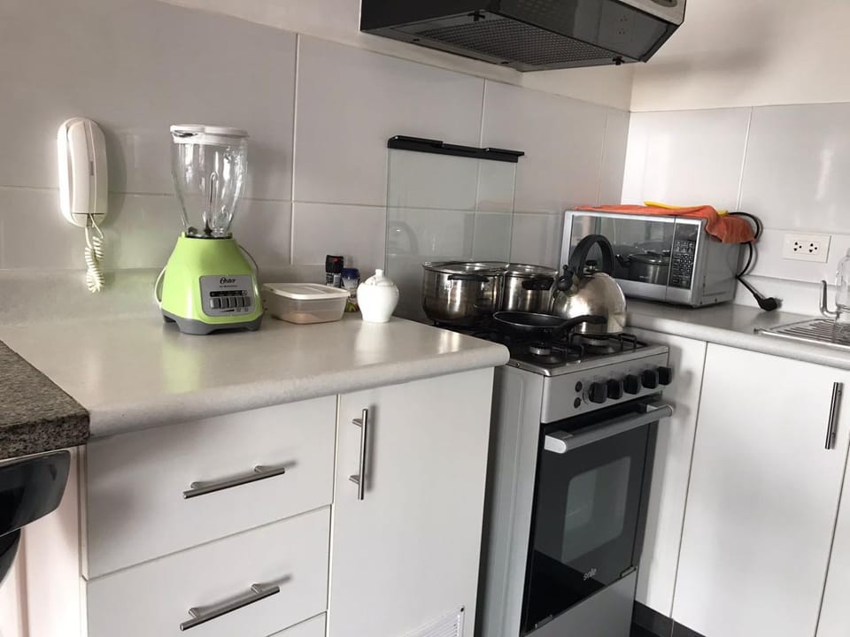 Kitchen or kitchenette, pet friendly