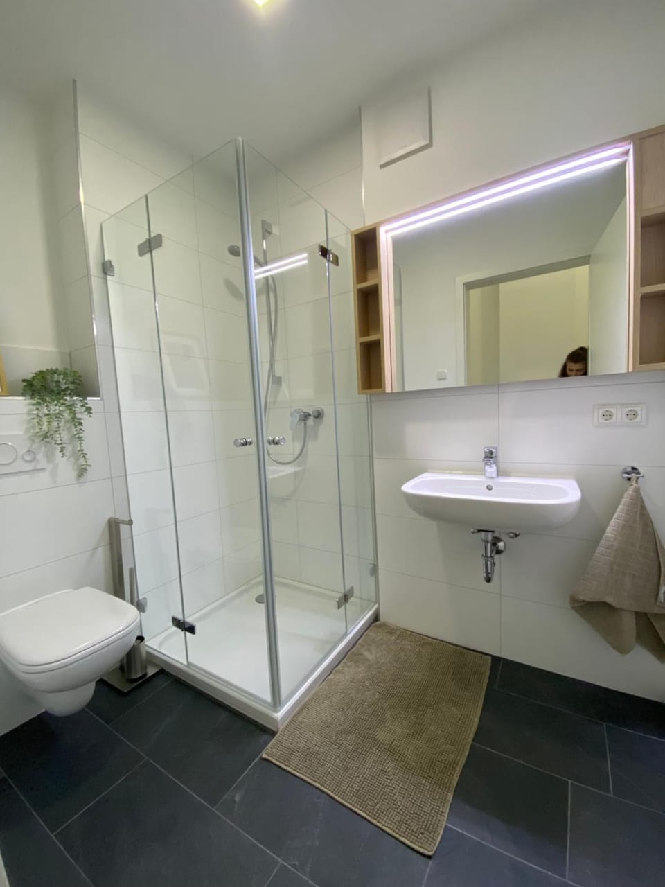 Shower, Bathroom