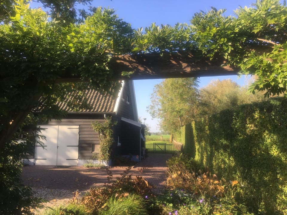 Garden view