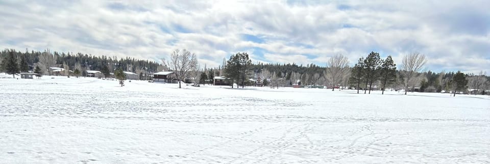 RelaxingRejuvenating 4BR 3 and half BA cabin Munds Park Cabin in Munds Park