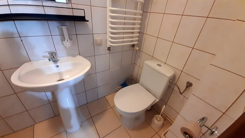 Różana Karczma Vacation rental in Greater Poland Voivodeship