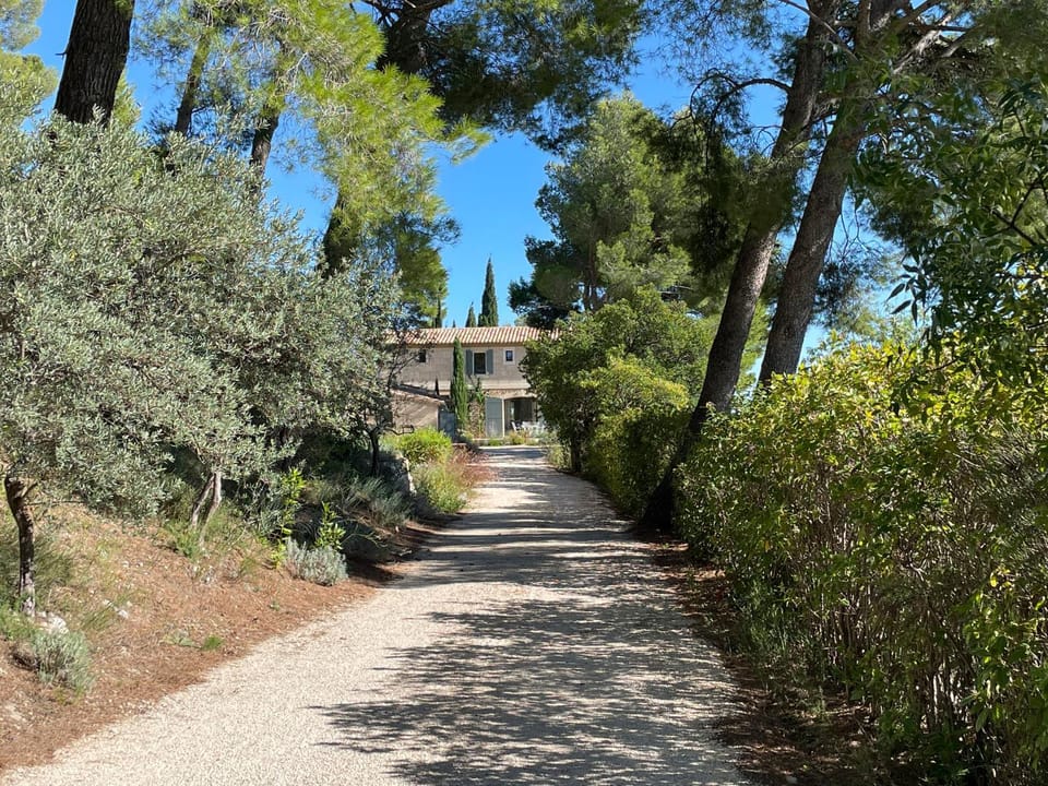 Garden view