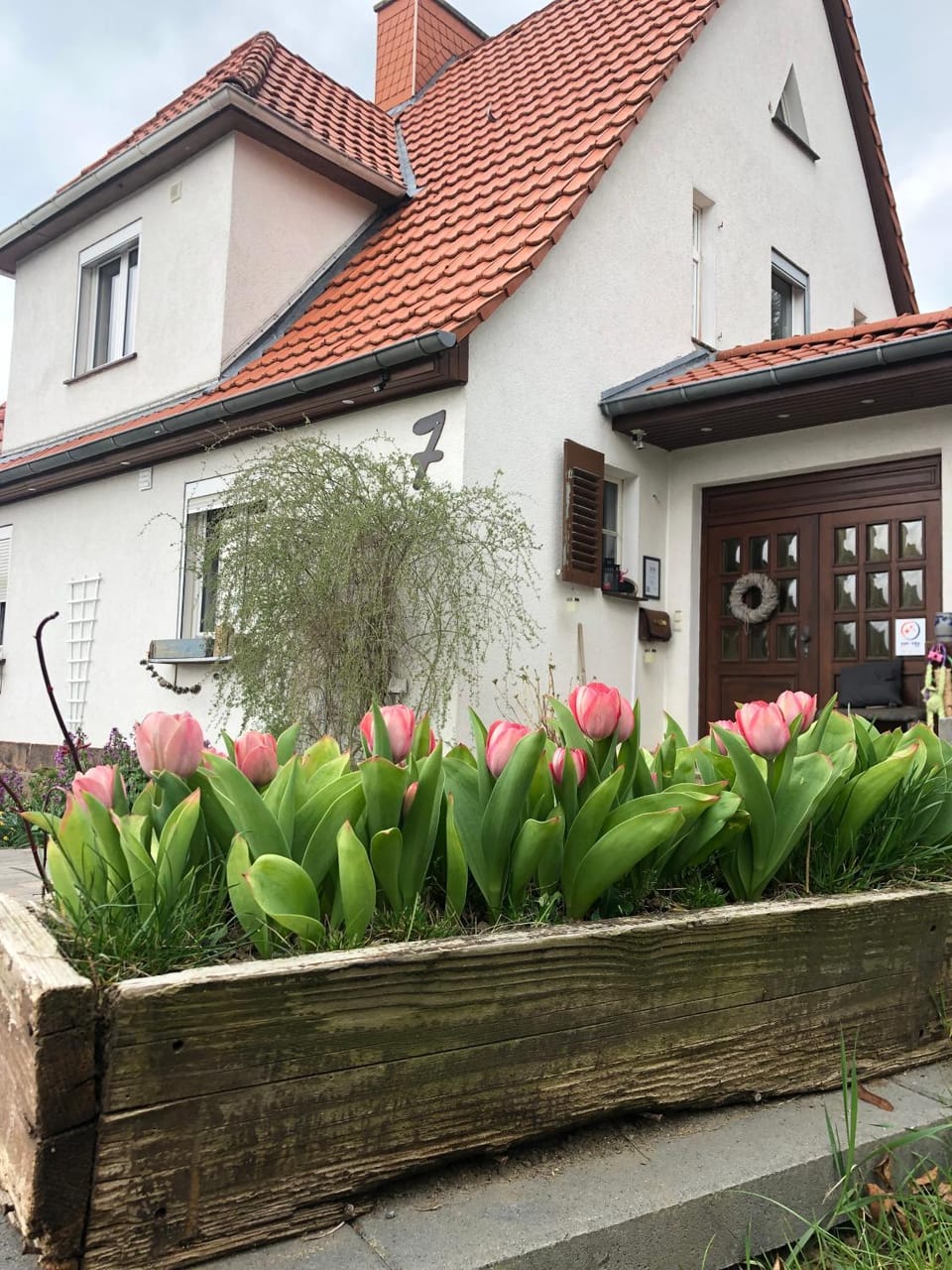Property building, Garden, Garden view