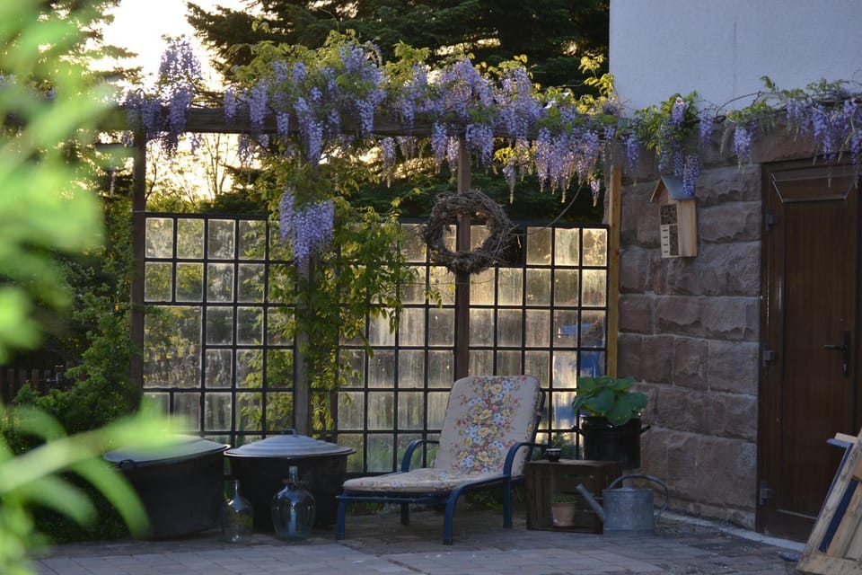 Patio, Garden, Garden view