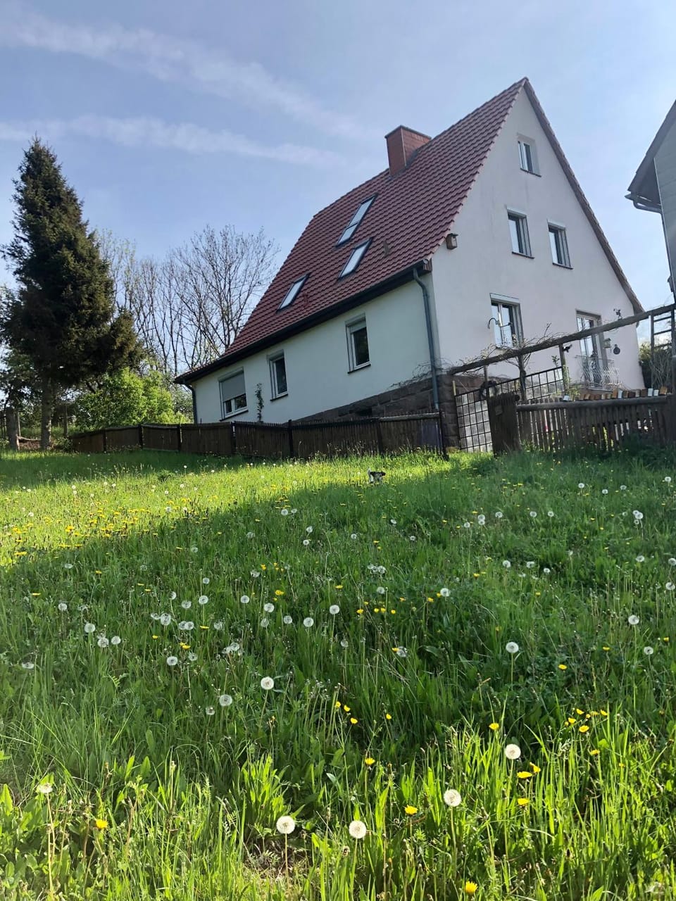 Property building, Garden view