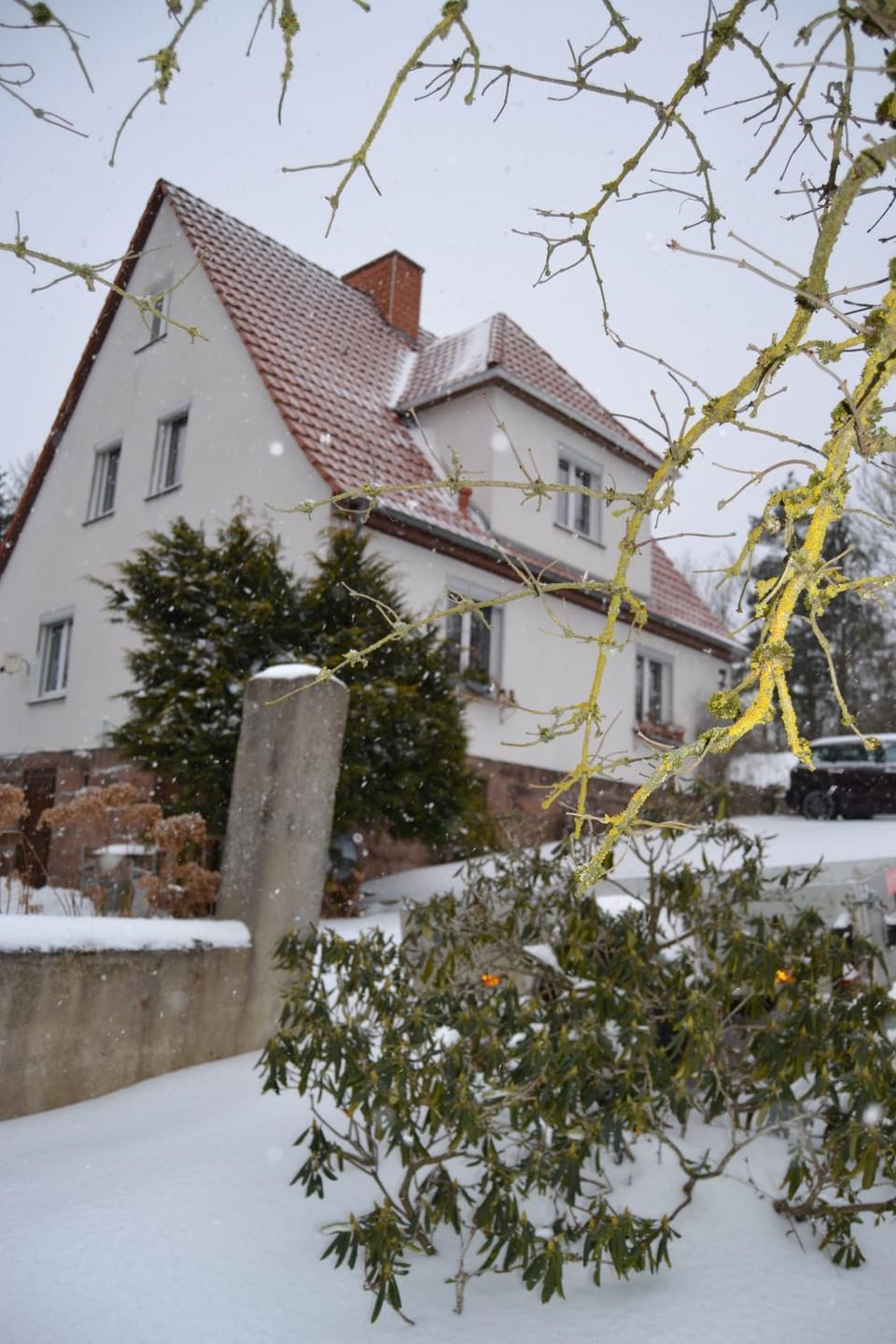 Property building, Winter