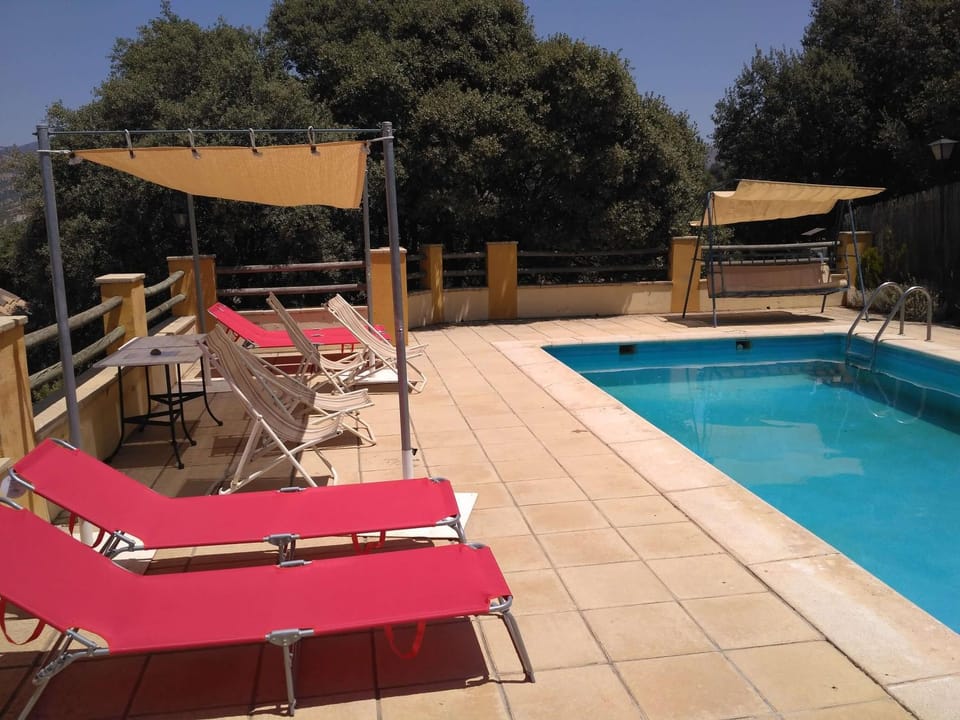 sunbed