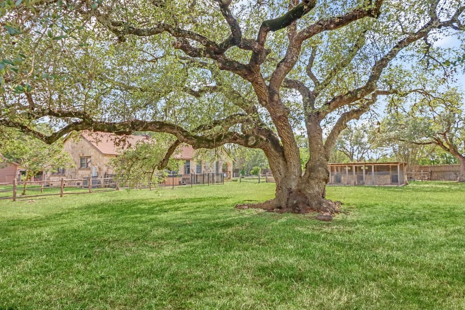 Milk Bath Springs House House in Dripping Springs