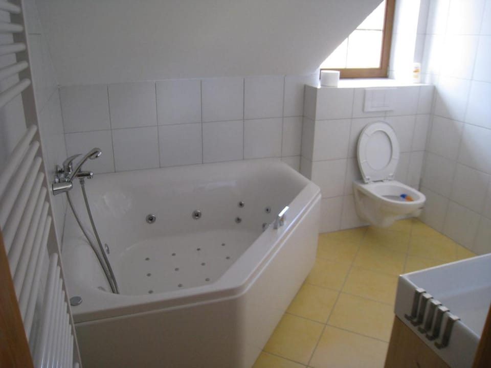 Skalský Mlýn Bed and Breakfast in Czechia