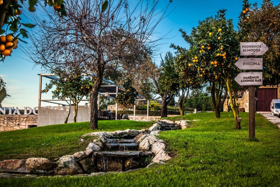Garden, Garden view