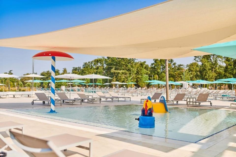 Kids's club, Swimming pool, Swimming pool, young children