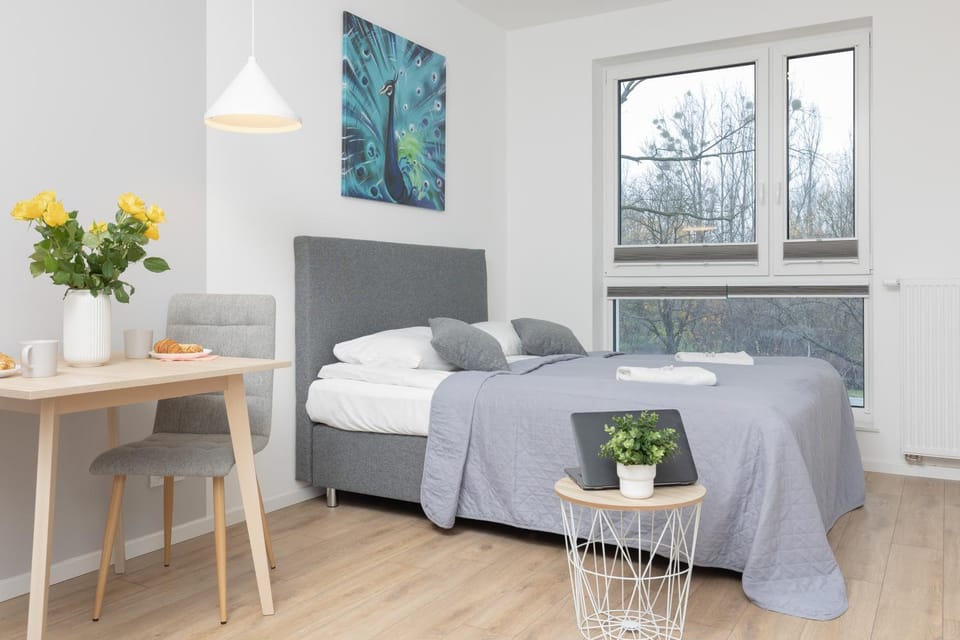 Bed, Living room, Photo of the whole room, Dining area