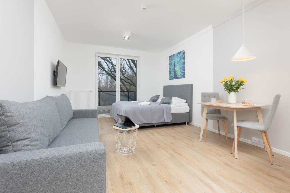 Bed, TV and multimedia, Living room
