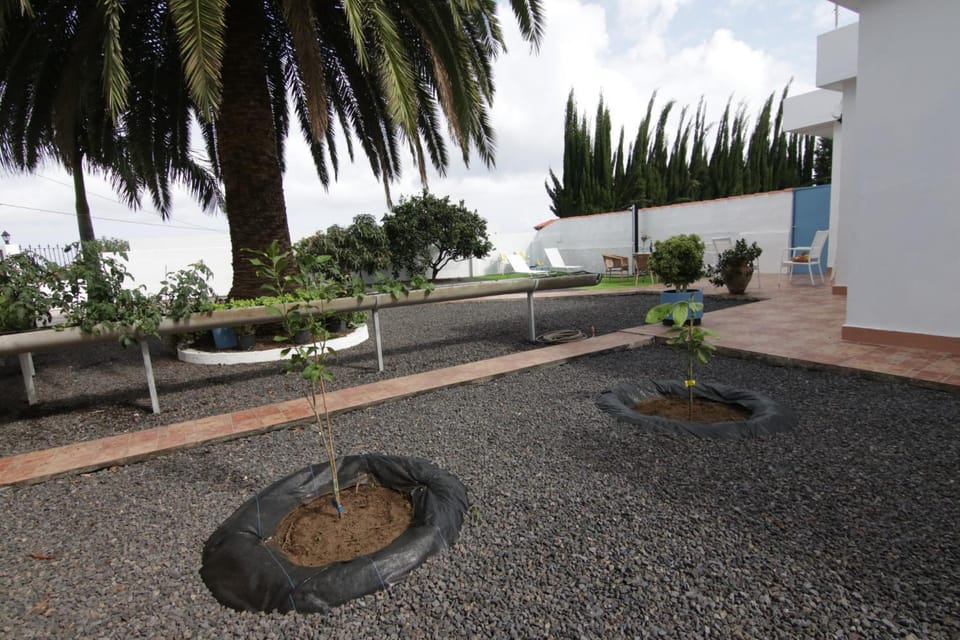 VV Casita El Paraíso House in La Palma