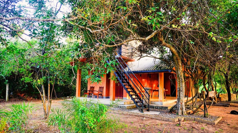 Property building, Natural landscape, Garden, Garden view