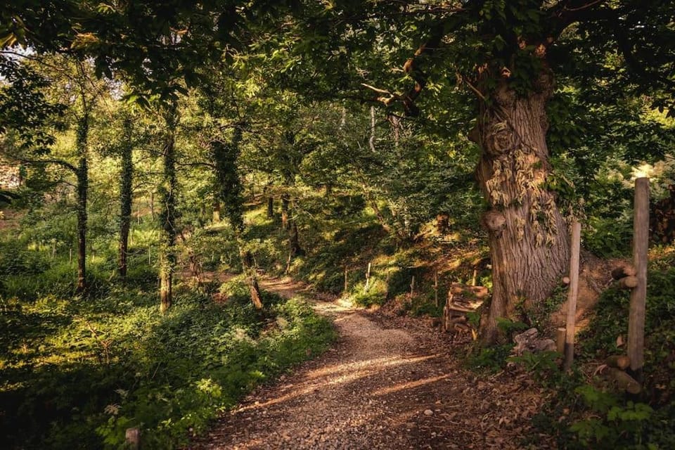 Natural landscape