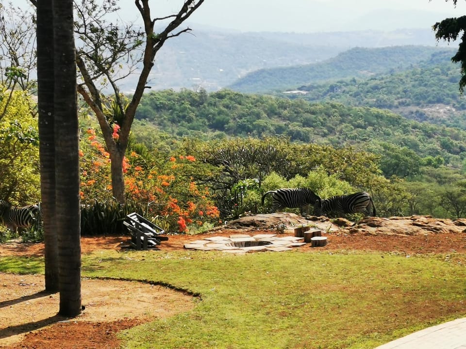 Day, Natural landscape, Garden, Mountain view