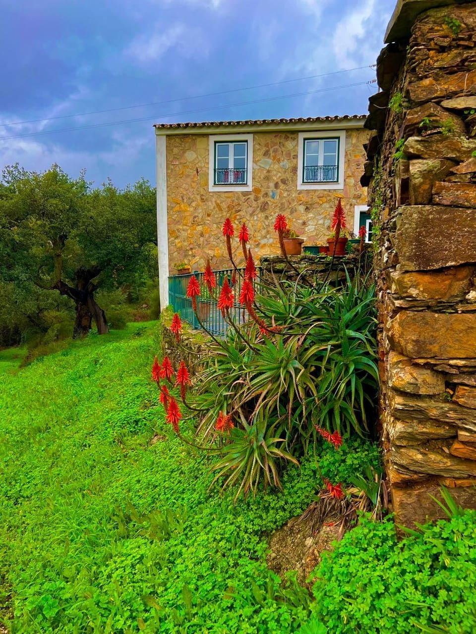 Property building