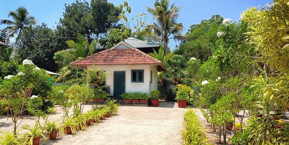 Property building, Natural landscape