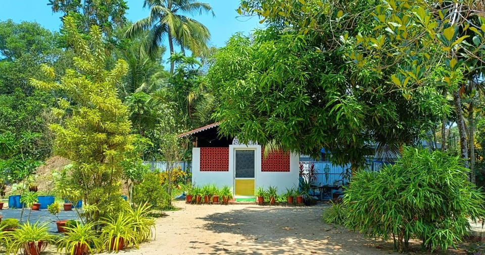 Property building, Day, Natural landscape, Garden, Garden view