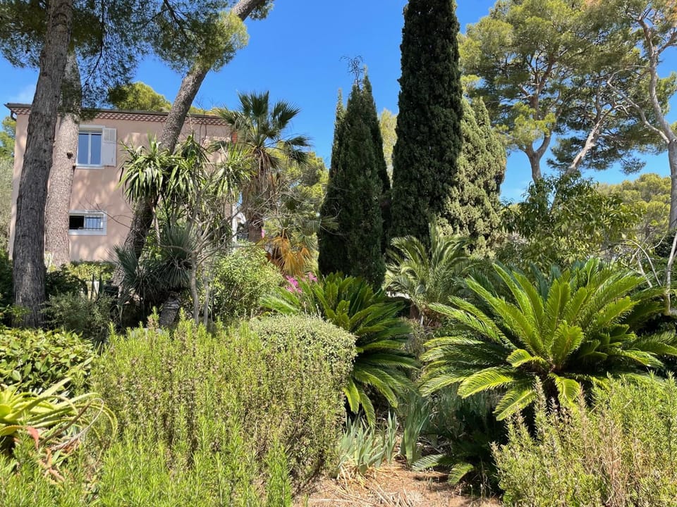 Rez-de-chaussée dans grand jardin provençal, villa Tatiana Apartment in Antibes