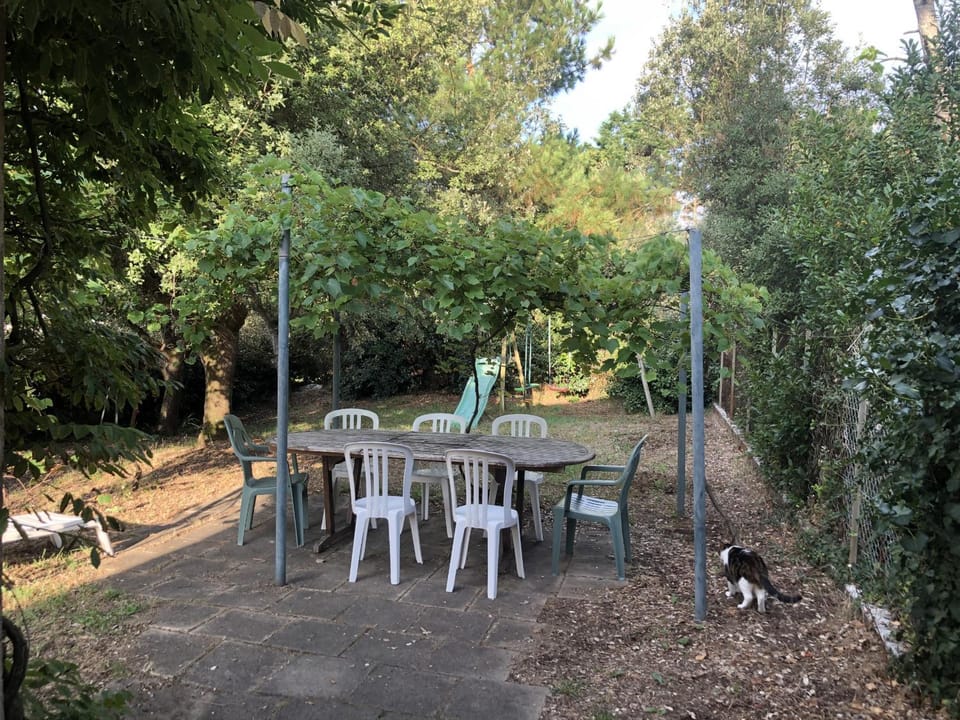 Patio, Garden, Garden view
