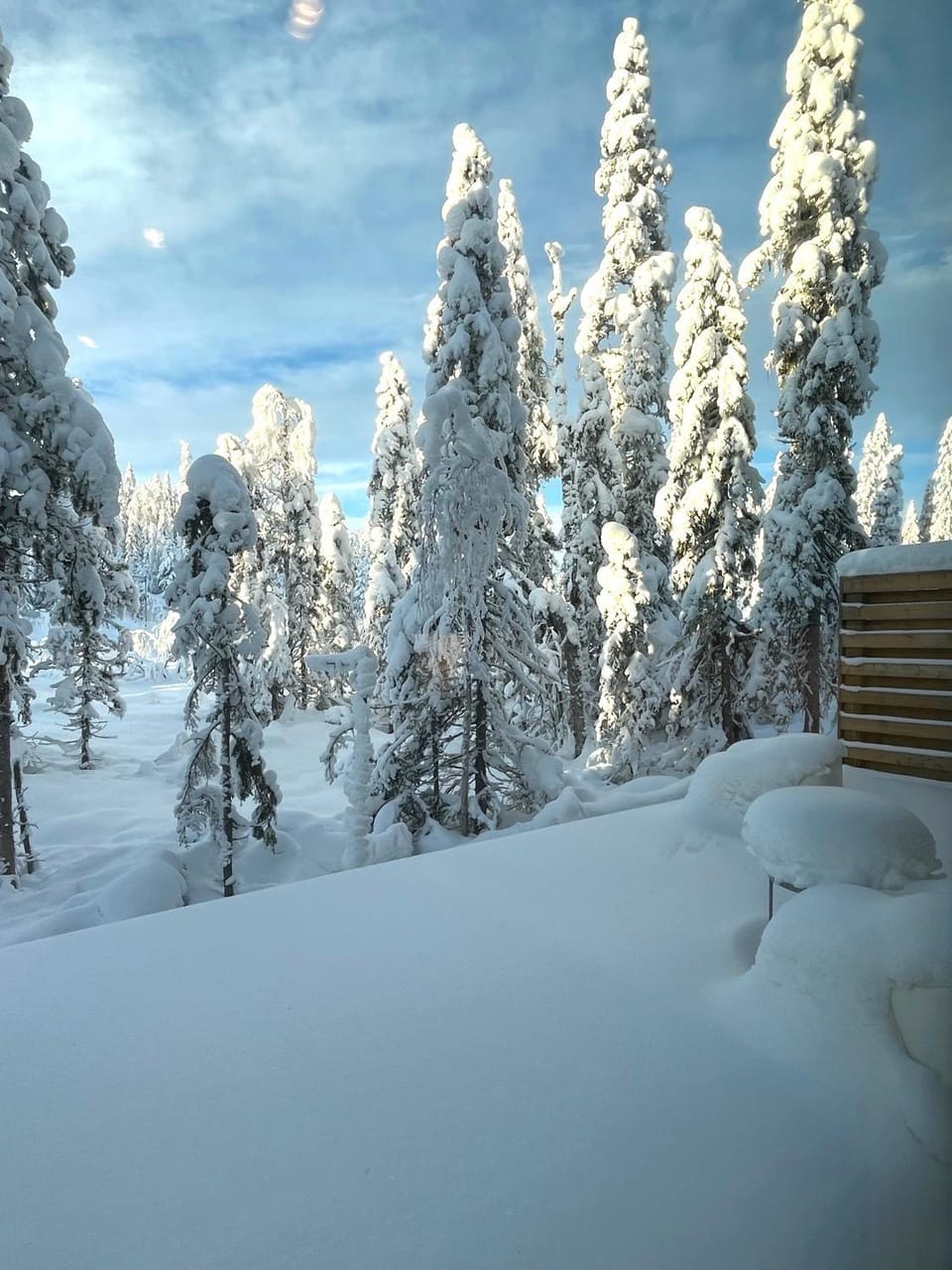 Day, Natural landscape, Winter