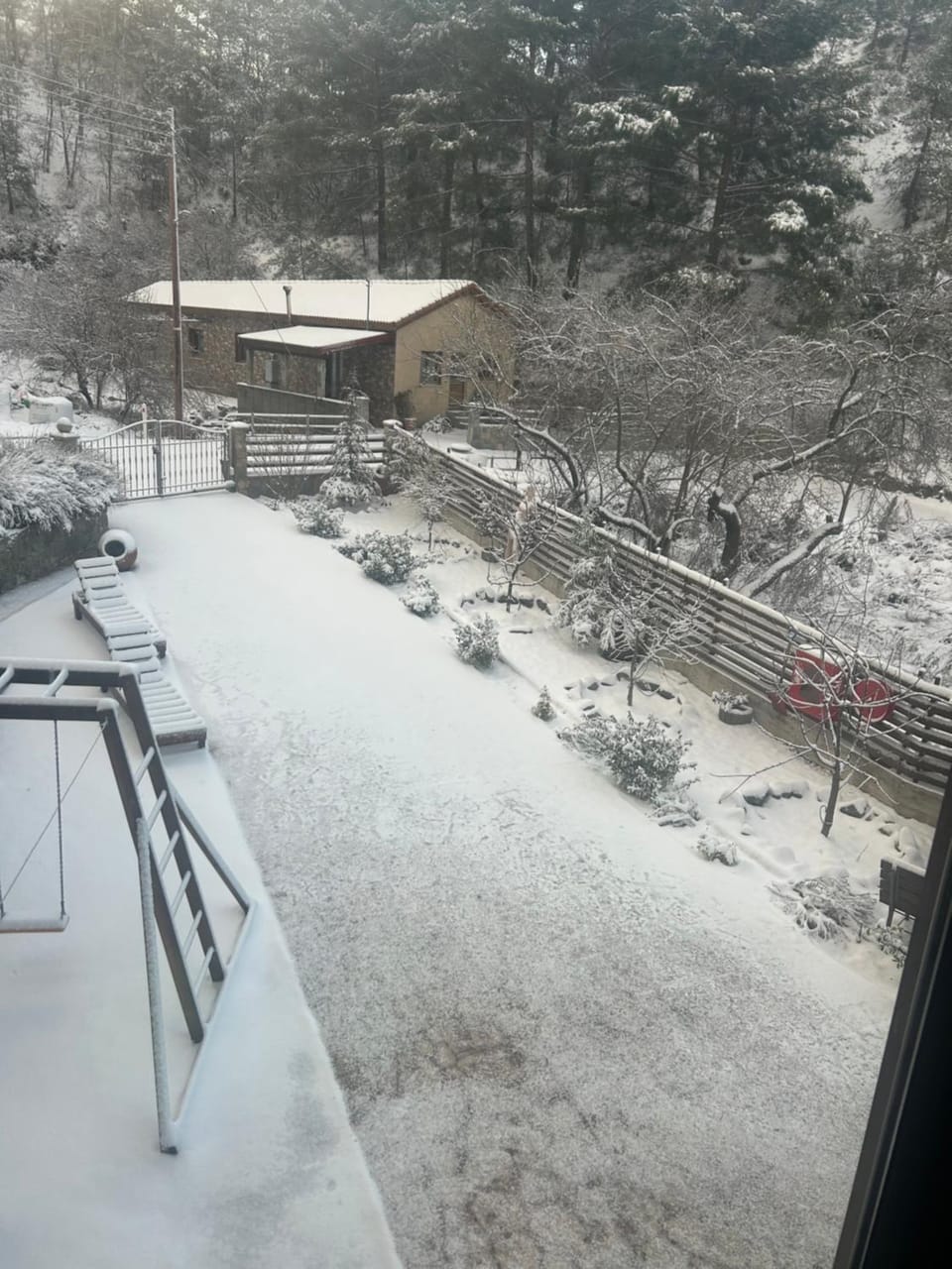 Day, Garden view