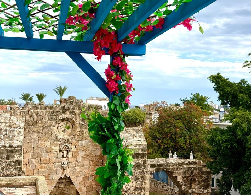 Blue Levant Guest House Apartment in Famagusta