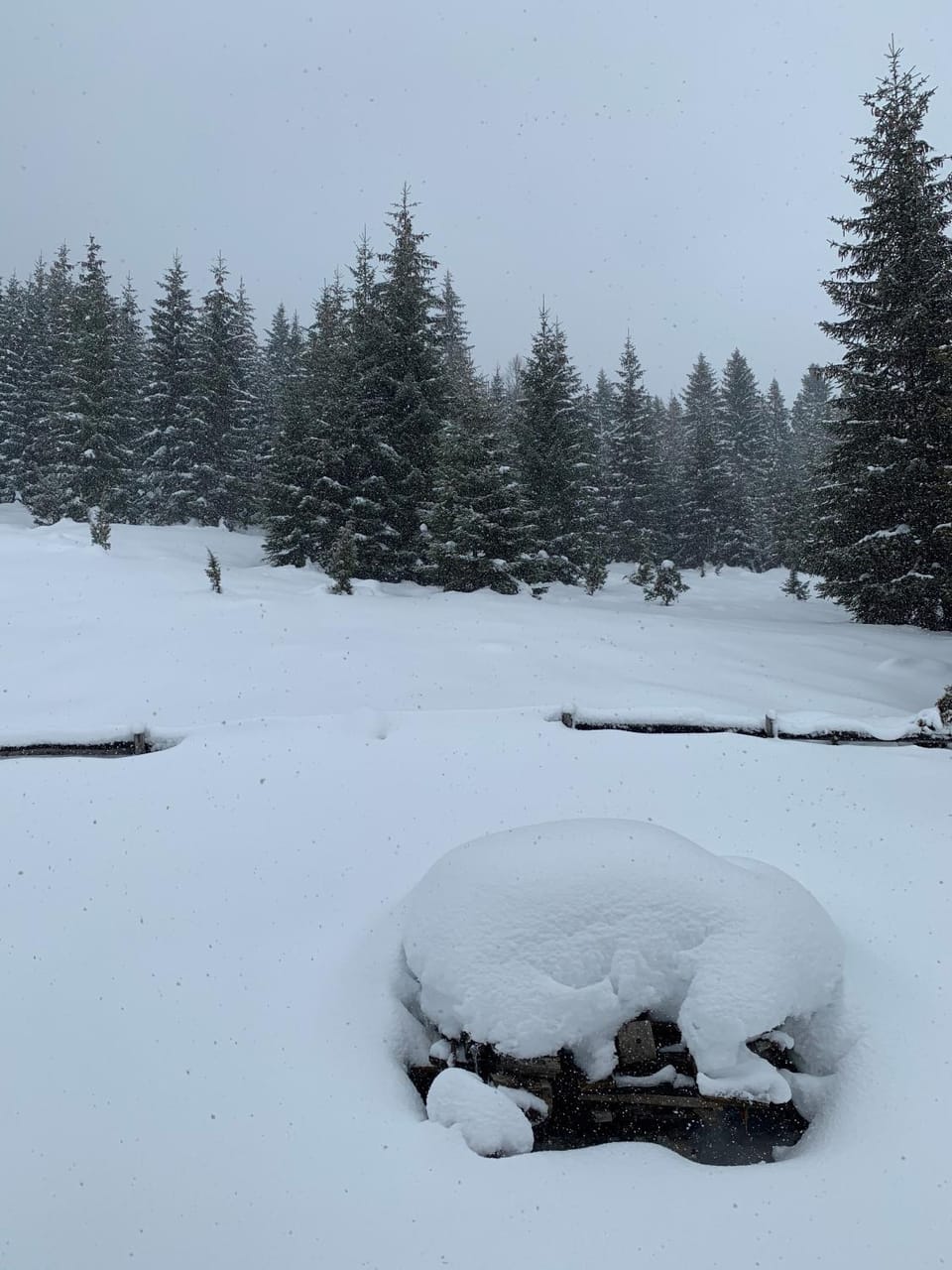 Guest House Đina House in Montenegro