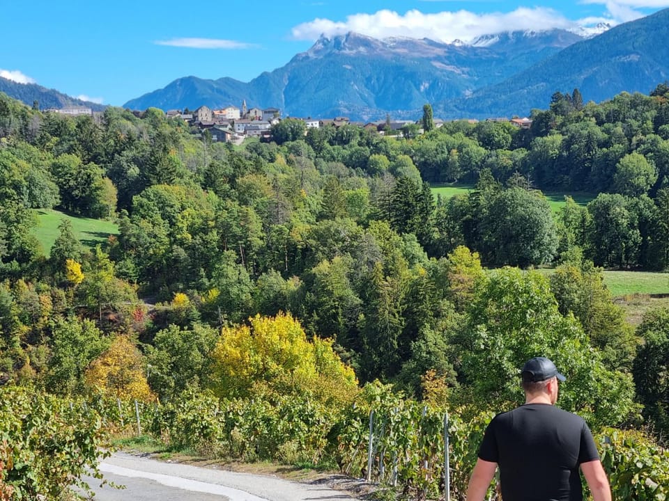 Studio Blackbird Apartment in Canton of Valais