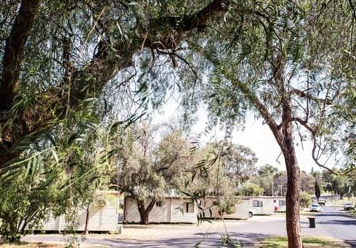 Spicer Caravan Park Campground/ 
RV Resort in Parkes