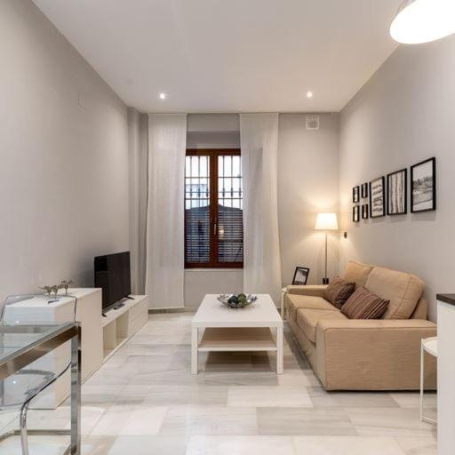 Coqueto apartamento para descubrir Sevilla Apartment in Seville