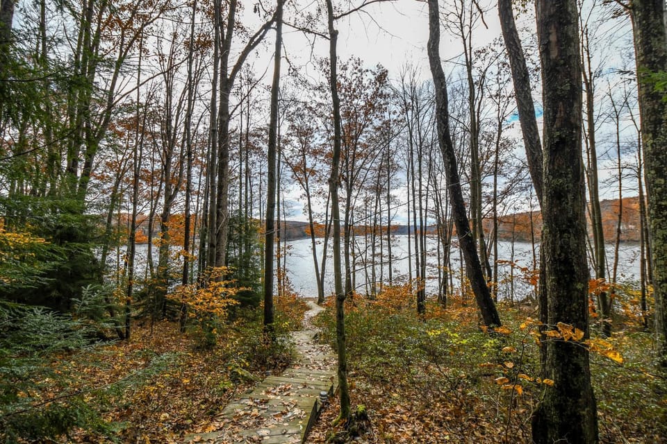 Natural landscape, Garden view, Lake view