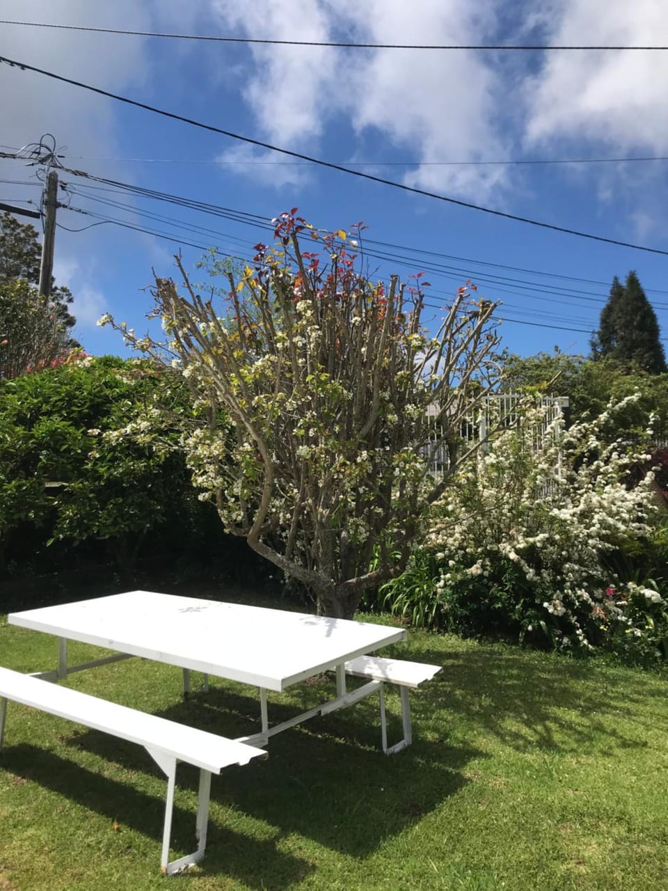 Garden, Garden view