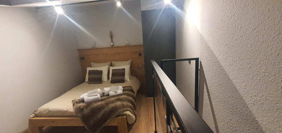 Duplex Aiguille du midi CHAMONIX Apartment in Chamonix
