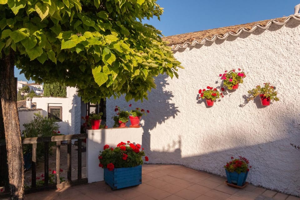 Patio, BBQ facilities, Garden, Lobby or reception, laundry