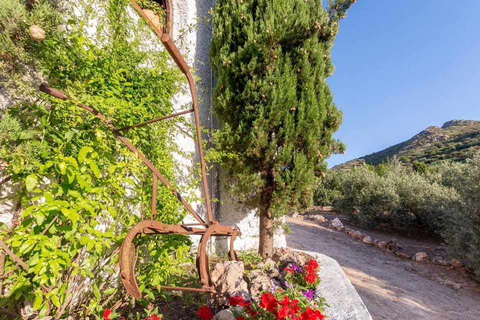 Property building, Facade/entrance, Garden, Mountain view