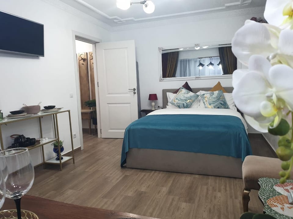 Studio Sofia Apartment in Romania